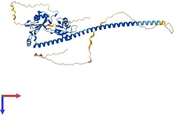 NONO Protein (AA 1-471) (His tag)