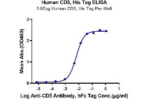Immobilized Human CD5, His Tag at 0. (CD5 Protein (CD5) (AA 25-371) (His tag))