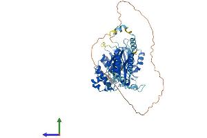 Protein Structure (PS) image for Methyltransferase Like 16 (METTL16) (AA 1-553) protein (His tag) (ABIN7560542)