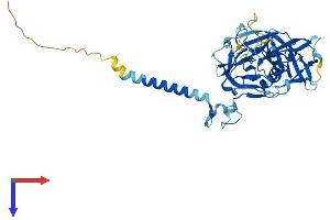 TMPRSS4 Protein (AA 1-435) (His tag)