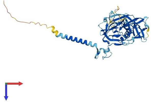 TMPRSS4 Protein (AA 1-435) (His tag)