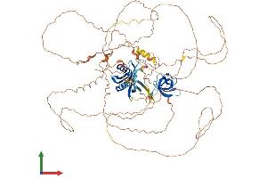 Protein Structure (PS) image for C-Jun-Amino-Terminal Kinase-Interacting Protein 2 (JIP-2) (AA 1-830) protein (His tag) (ABIN7565050)