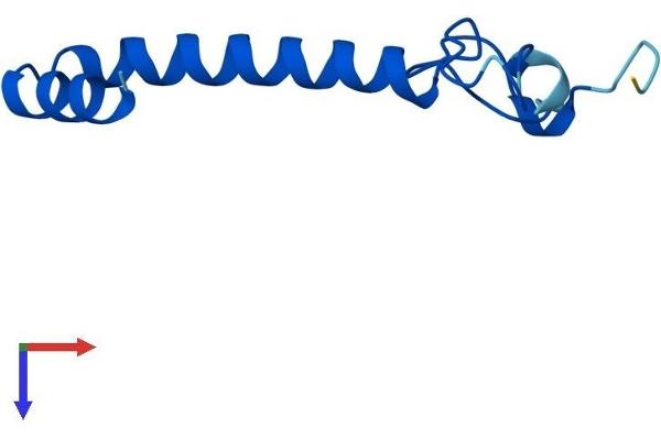 NDUFA4 Protein (AA 1-82) (Fc Tag)