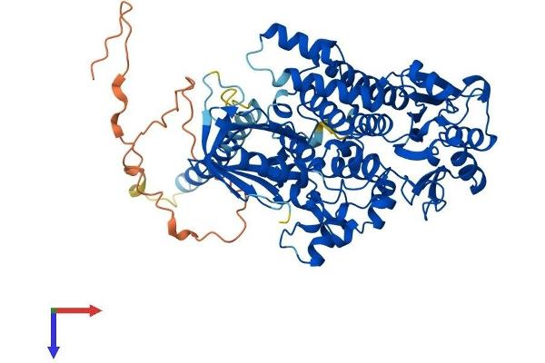 MTMR6 Protein (AA 1-617) (His tag)