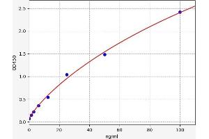 SORD ELISA Kit