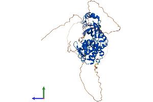 Protein Structure (PS) image for Dual-Specificity tyrosine-(Y)-phosphorylation Regulated Kinase 2 (DYRK2) (AA 1-599) protein (His tag) (ABIN7563856)