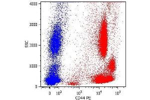 Surface staining of human peripheral blood cells with anti-human CD44 (MEM-85) PE. (CD44 Antikörper)