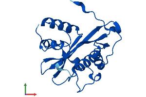 AlphaFold protein structure predicition of Human Recombinant GNPNAT1 Protein, UniprotID Q96EK6