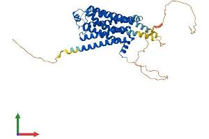 Protein Structure (PS) image for Adrenergic, beta-2-, Receptor, Surface (ADRB2) (AA 1-418) protein (His tag) (ABIN7562930)