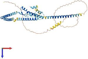 LUC7-Like 3 Protein (LUC7L3) (AA 1-432) (His tag)