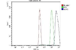 Flow Cytometry analysis of C6 cells using anti-Ddit3 antibody (ABIN7600249).