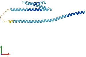 Protein Structure (PS) image for Golgi SNAP Receptor Complex Member 2 (GOSR2) (AA 1-212) protein (His tag) (ABIN7562274)