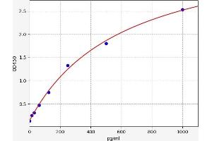 Typical standard curve (Klotho beta ELISA Kit)