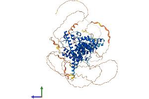 AlphaFold protein structure predicition of Human Recombinant PDE4A Protein, UniprotID P27815