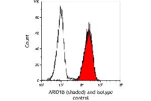 Flow Cytometry (FACS) image for anti-AT Rich Interactive Domain 1B (SWI1-Like) (ARID1B) (AA 1425-1475) antibody (ABIN7795694) (Rekombinanter ARID1B Antikörper  (AA 1425-1475))