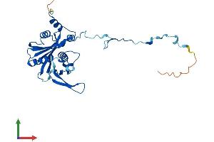 Protein Structure (PS) image for Ribosome Production Factor 2 Homolog (RPF2) (AA 1-306) protein (His tag) (ABIN7561573)