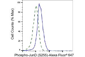 Validation of JunD knockdown using flow cytometry. (Rekombinanter JunD Antikörper  (pSer255))
