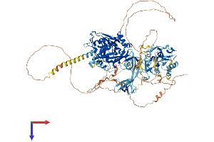 KDM4B Protein (AA 1-1086) (His tag)
