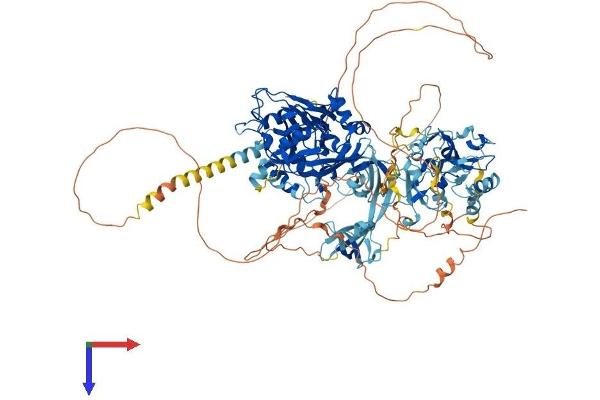 KDM4B Protein (AA 1-1086) (His tag)