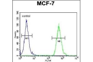 TTL Antibody (C-term) (ABIN651357 and ABIN2840199) flow cytometric analysis of MCF-7 cells (right histogram) comred to a negative control cell (left histogram). (TTPAL Antikörper  (C-Term))