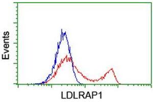 Flow Cytometry (FACS) image for anti-Low Density Lipoprotein Receptor Adaptor Protein 1 (LDLRAP1) antibody (ABIN1496686) (LDLRAP1 Antikörper)
