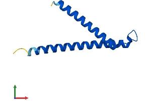 Protein Structure (PS) image for Translocase of Inner Mitochondrial Membrane 10 (TIMM10) (AA 1-90) protein (His tag) (ABIN7556596)