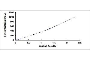 Typical standard curve (Kallikrein 13 ELISA Kit)