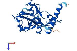 NUDT16L1 Protein (AA 1-211) (His tag)
