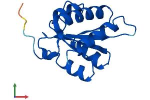 Protein Structure (PS) image for NHP2 Non-Histone Chromosome Protein 2-Like 1 (NHP2L1) (AA 1-128) protein (His tag) (ABIN7560852)