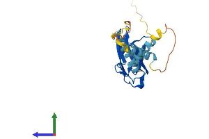 Protein Structure (PS) image for Motile Sperm Domain Containing 1 (MOSPD1) (AA 1-213) protein (His tag) (ABIN7559912)