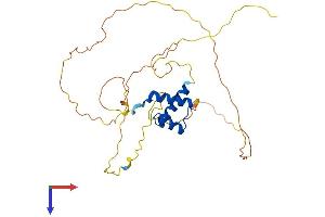 GSX2 Protein (AA 1-304) (His tag)