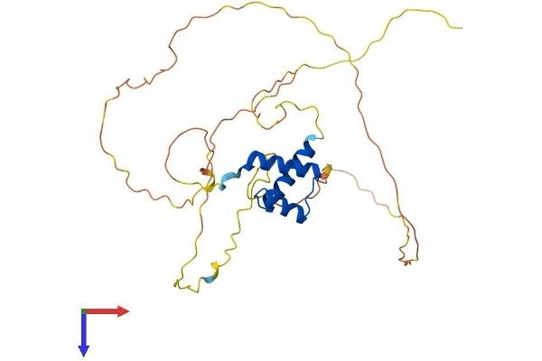 GSX2 Protein (AA 1-304) (His tag)
