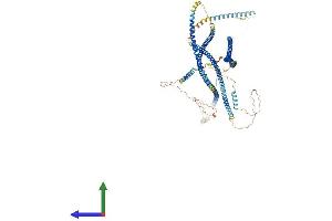 Protein Structure (PS) image for Golgin A2 (GOLGA2) (AA 1-999) protein (His tag) (ABIN7564850)