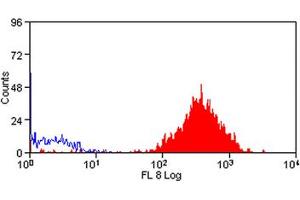 Image no. 1 for anti-CD48 (CD48) antibody (APC) (ABIN576845) (CD48 Antikörper  (APC))