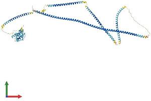 Protein Structure (PS) image for Hook Homolog 3 (HOOK3) (AA 1-718) protein (His tag) (ABIN7554126)