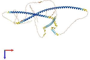 IFFO1 Protein (AA 1-559) (His tag)