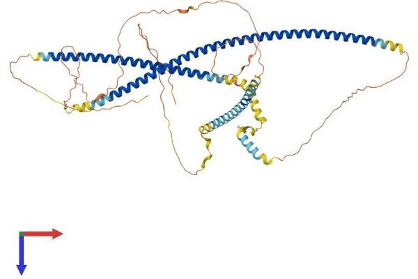 IFFO1 Protein (AA 1-559) (His tag)