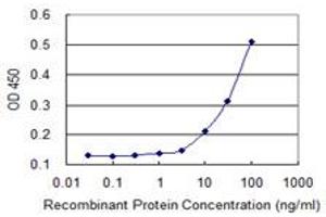 Detection limit for recombinant GST tagged SOLH is 3 ng/ml as a capture antibody. (Calpain 15/SOLH Antikörper  (AA 993-1086))