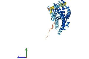 AlphaFold protein structure predicition of Mouse Recombinant Oprl1 Protein, UniprotID P35377