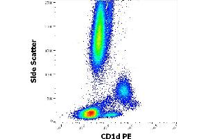 Flow cytometry surface staining pattern of human peripheral whole blood stained using anti-human CD1d (51. (CD1d Antikörper  (PE))