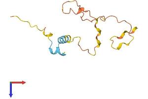 LELP1 Protein (AA 1-120) (His tag)