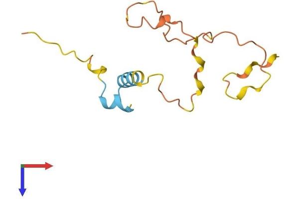 LELP1 Protein (AA 1-120) (His tag)