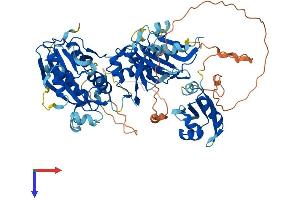ESRP1 Protein (AA 1-680) (His tag)