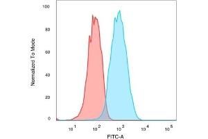 Flow Cytometry (FACS) image for anti-CUGBP, Elav-Like Family Member 2 (CELF2) antibody (ABIN7504156)