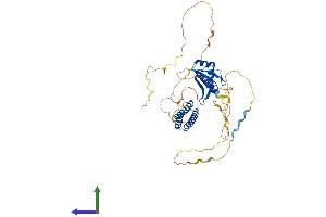 Protein Structure (PS) image for Cleavage and Polyadenylation Specific Factor 7, 59kDa (CPSF7) (AA 1-471) protein (His tag) (ABIN7558885)