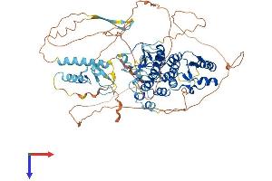 BARD1 Protein (AA 1-765) (His tag)