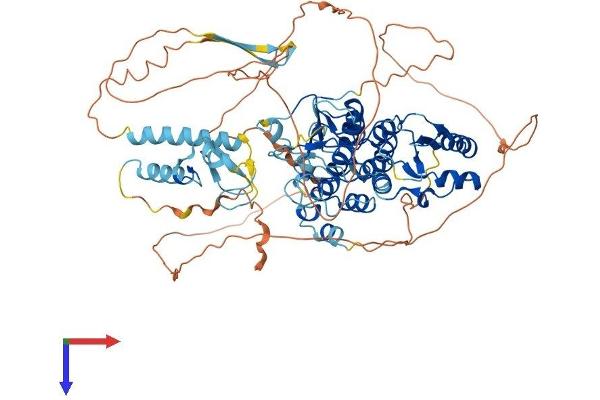BARD1 Protein (AA 1-765) (His tag)