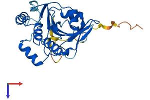 AlphaFold protein structure predicition of Mouse Recombinant Gucd1 Protein, UniprotID Q8BZI6