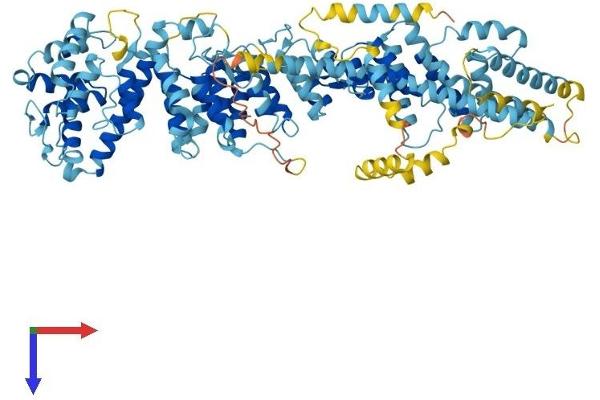 NUP93 Protein (AA 1-819) (His tag)