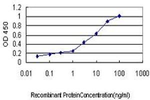 ELISA image for anti-Serpin Peptidase Inhibitor, Clade G (C1 Inhibitor), Member 1 (SERPING1) (AA 1-500) antibody (ABIN513846)